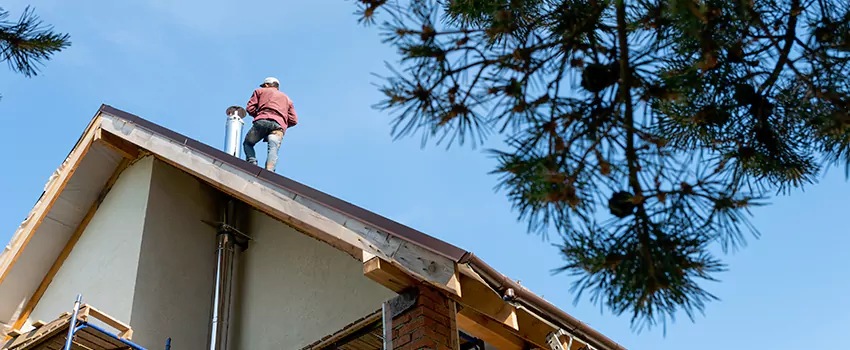 Birds Removal Contractors from Chimney in Avenel, NJ